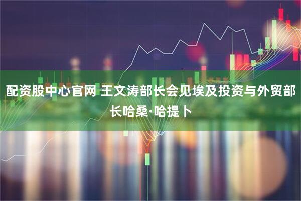 配资股中心官网 王文涛部长会见埃及投资与外贸部长哈桑·哈提卜