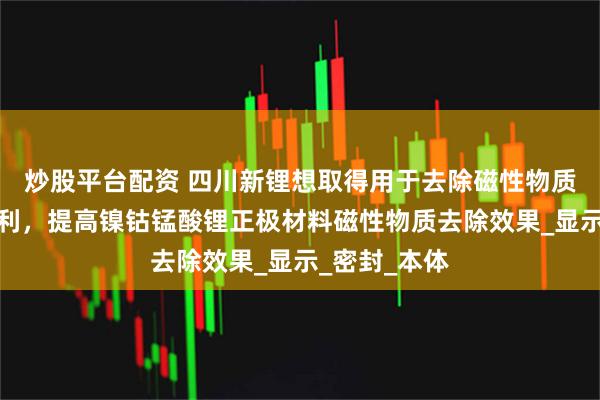 炒股平台配资 四川新锂想取得用于去除磁性物质的水洗釜专利，提高镍钴锰酸锂正极材料磁性物质去除效果_显示_密封_本体