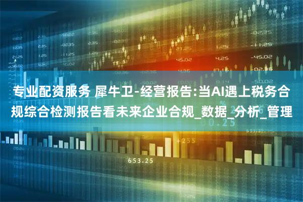 专业配资服务 犀牛卫-经营报告:当AI遇上税务合规综合检测报告看未来企业合规_数据_分析_管理